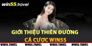 Giới thiệu thiên đường cá cược Win55