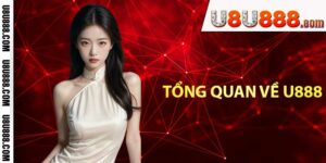 Tổng quan về U888